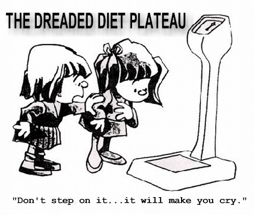 Diet_Plateau_cartoon